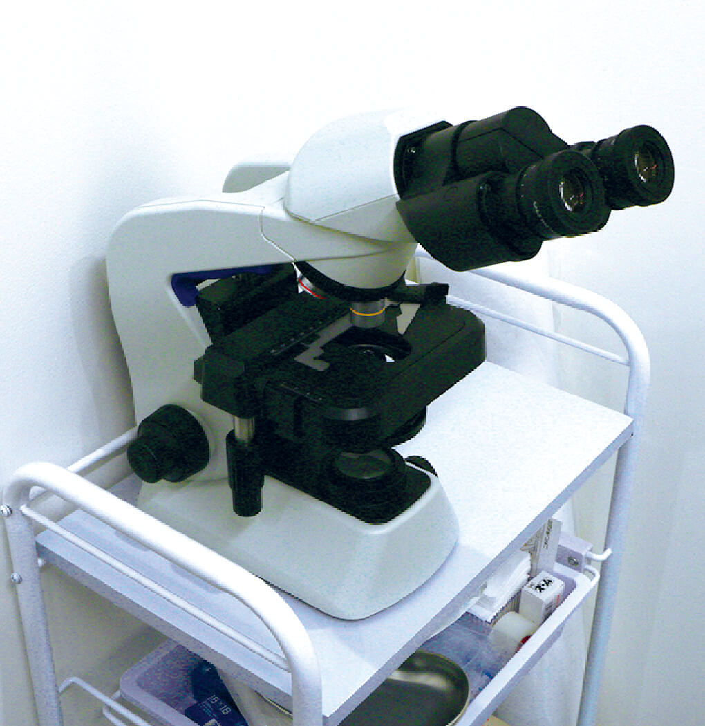 顕微鏡検査